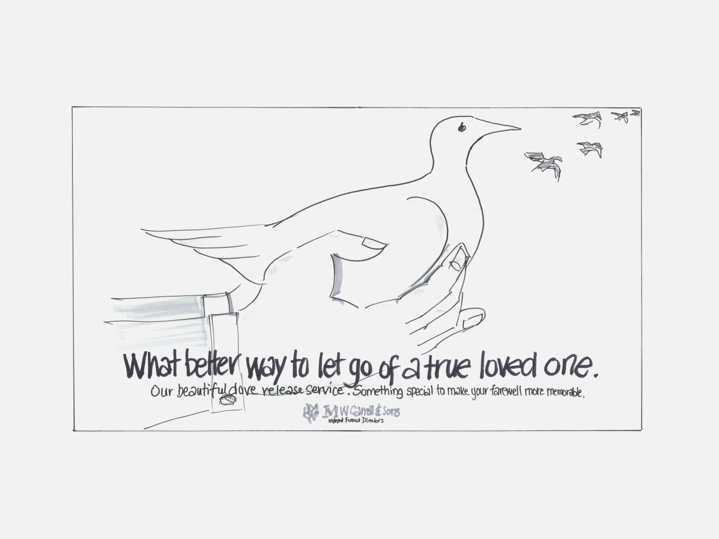 MW Carroll & Sons - Dove advertising campaign